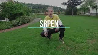 Srpen - anglický trávník | ŠENA