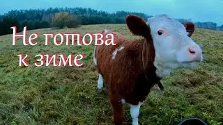 Ничего не успеваю // Жизнь на хуторе