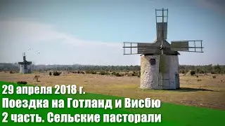 29 апреля 2018 г  Поездка на Готланд и Висбю. 2 часть. Сельские пасторали