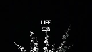 Life 4K Wallpaper & Screensaver | Black and White Minimalist Background (No Sound)