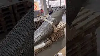 Как вам наше творчество 😁 Рыба из шайб !