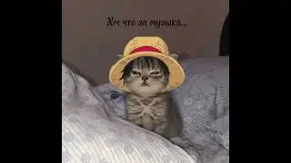 Валентин Стрыкало-танцы