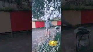 ha