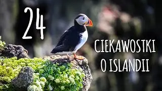 ISLANDIA - 24 ciekawostki