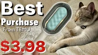 Unbelievable! My Best Purchase: TEMU Pet Grooming Comb $3.98!