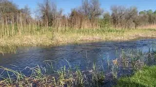 Слушаем КВ на рыбалке