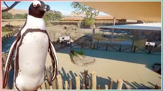 African Penguin Habitat | Planet Zoo Africa Pack | Speed Build