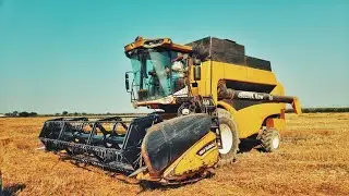 Wheat Harvest in Turkey 2020