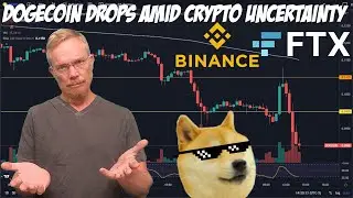 Dogecoin Drops Amid Crypto Uncertainty