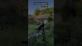 видео с эстетикой города смотрите на канале!! 
