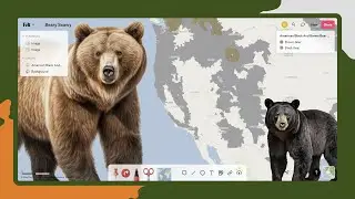 The Ultimate Free Map Tool You Need 🌎