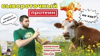 СЫВОРОТОЧНЫЙ ПРОТЕИН какой лучше? В чём разница?