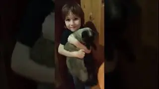 Halloween Хеллоун