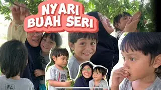 Junajanu nyari buah seri sambil ngebolang