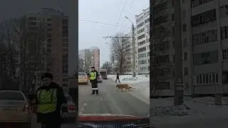 МИЛОЕ ВИДЕО❤️😘