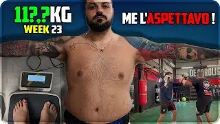 ME L'ASPETTAVO - REBORN WEEK 23