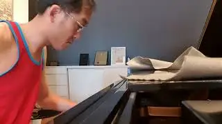 Liszt Consolation no.3 in D flat, Steinway D 
