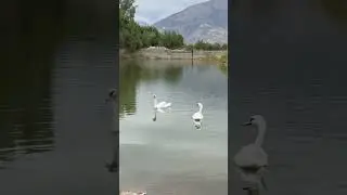 спортивная база Ширин Булок