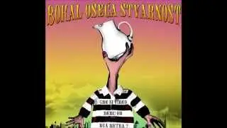 Bokal oseća stvarnost - Kako pametan pas