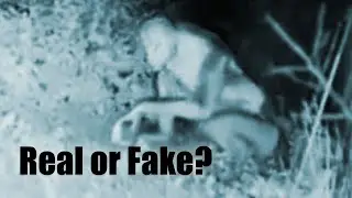 LAS VEGAS BACKYARD ALIEN