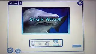Shark attack 9 grade excel
