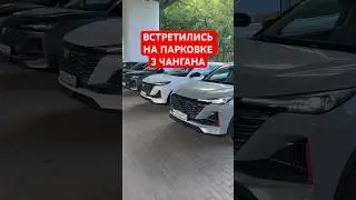 3 Цвета Changan CS55 plus / unis #changan #чанган #китай #cs55plus #авто #китайскийавто #машина