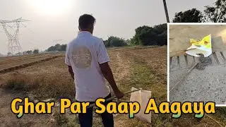A snake came to the house. I took the snake out of the house. Family Vlog 🫣🏃