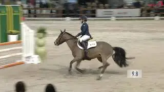 Regio Brabant Pony Springen Georgina Maas