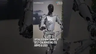 Musk showcases Tesla humanoid robot performing Yoga, Namaste