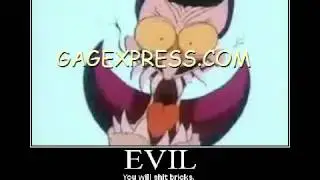 Top 10 Funny Pictures India