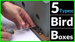How to Make 5 Different Types of Bird Box for your Garden