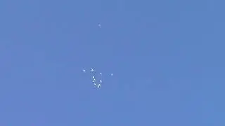 Пермские и свердловские голуби.