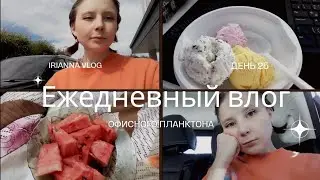 Влог офисного планктона|Офисный планктон|Кем я работаю|Как попасть в IT|Ежедневный влог