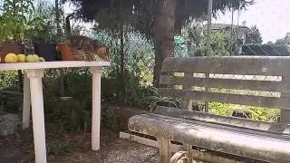 Meizu MX4 test video 720p slow motion da TuttoAndroid.net