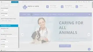 Petsvets - Use Page Title bar Options
