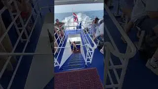 Скоростной катер 60 км в час 😳