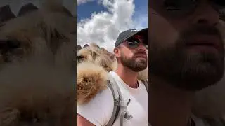 My Dog’s 2021 Recap 