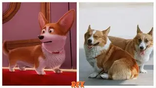 The Queen's Corgi Characters in Real Life