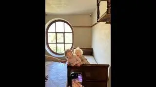 КОГДА ТВОЙ ДВУХЛЕТНИЙ СЫН ВЛЮБИЛСЯ🥰Leo fell in love