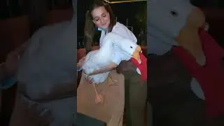Просто гусь заядлый посетитель Ялтинских ресторанов