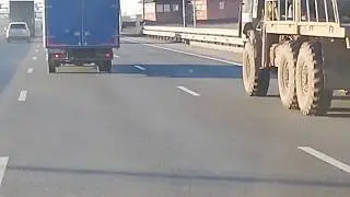 Бедолага на газели