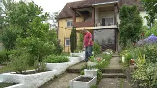 Vanredno stanje, izvanredna bašta