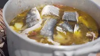 Episode 22: Tiago Santos | Frigate Fish Stew