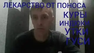 ЧЕМ ЛЕЧИТЬ ПОНОС У ЦЫПЛЯТ,ИНДЮШАТ,УТЯТ,ГУСЯТ.