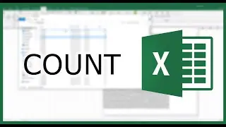 Excel COUNT: Count the Cells with an Integer | Excel in Minutes