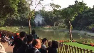 Птичий театр в китае