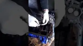 ЖЕСТЬ НА СТО