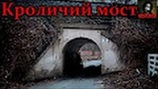 То,от чего стынет кровь׃Убийца с Кроличьего моста