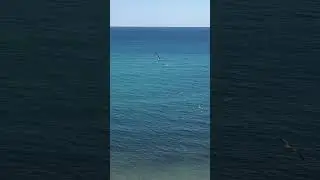 Анапа. Высокий берег. Дельфины.Черное море. Отдых. Краснодарский край. 2 сентября 2024 г.