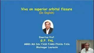 Superior orbital fissure  in English
